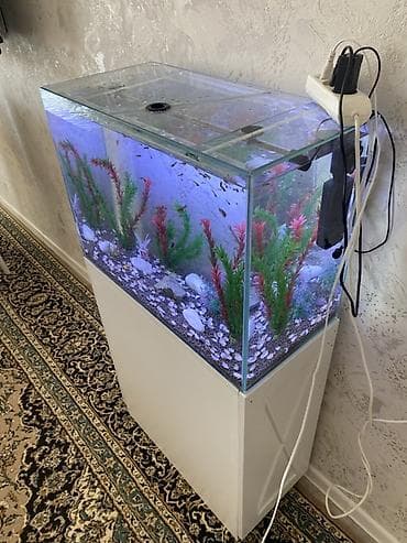 Akvariumlar: Akvarium-şkaf, Balıqlarla birlikdə, 90 l, Ünvandan götürmə — 2