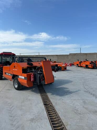 ot bağlaması: Şok endi̇ri̇m! 🇮🇹i̇talyan brendi gallignani 6690 gold markalı ot — 6