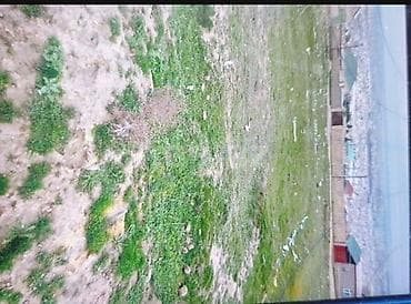 binegedi: 10 sot, Tikinti, Mülkiyyətçi, Kupça (Çıxarış) — 1