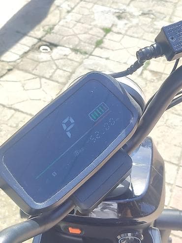 suktur: NİU 2024 il — 4