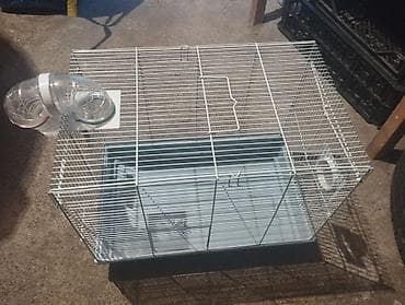 diri qoyun satisi: Geniş gəmirici qəfəsi – tunelli - Material: möhkəm metal — 1