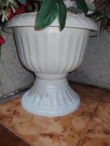 heyet ucun guller: BÖYÜK GÜL VƏ GÜLQABI ƏSASƏN HƏYƏT EVLƏRİ və OBYEKTDİR ÜÇÜN İDEALDIR — 2