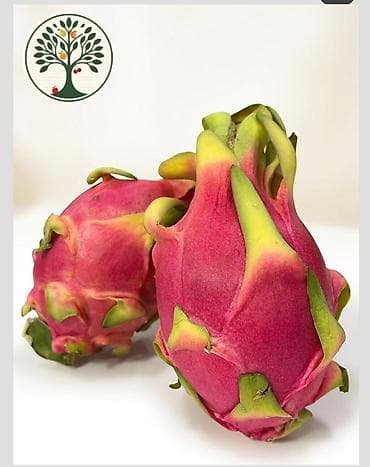 Məhsul: 2 ededdir Pitaya (Dragon Fruit) – qırmızı qabıqlı, yaşıl