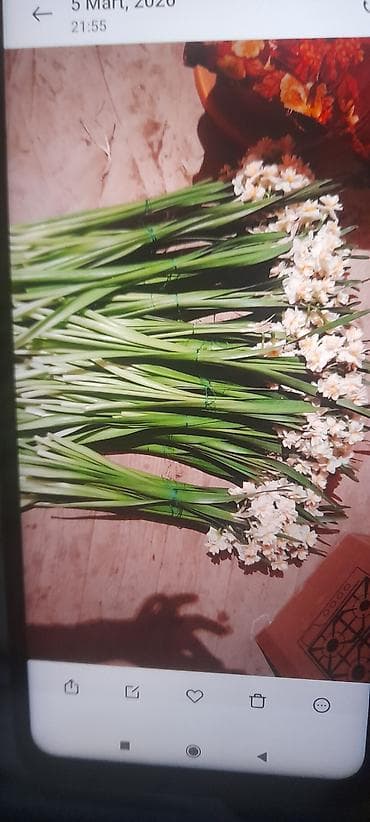 nərgiz gülləri: Məhsul: Ətirli nərgiz dəstələri (ağ ləçəklər, sarı mərkəz) Təsvir: - — 3