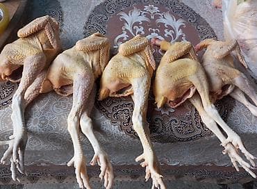 Ləpələr: Kənd toyuğu Toyuq Bütöv — 1