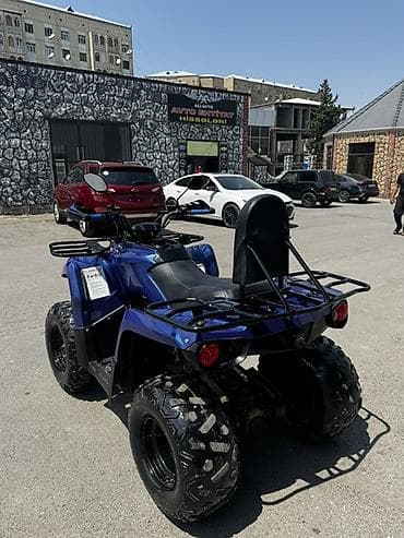 Квадроциклы: - Atv Kvadrosikl Kaxa 250, 200 см3, 2022 год, 4000 км — 5