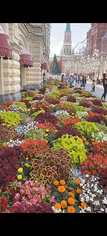 Turizm: Novosibir şehrine Xanım lazımdı yemekde anlayışı olan bir xanım, aylıq — 3
