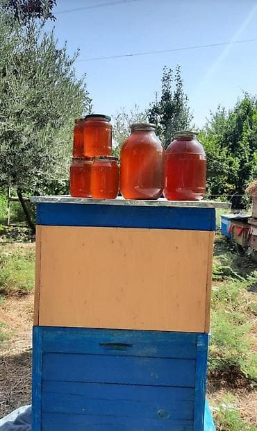 şanlı bal: Təbii arı balı – müxtəlif qablaşdırmalarda Məhsul təsviri: - Yeni — 5