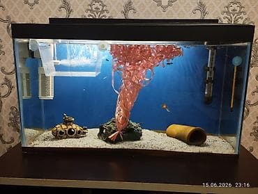 akvarium baligi: Dördbucaq akvarium, Balıqlarla birlikdə, 40 l, Ünvandan götürmə — 2