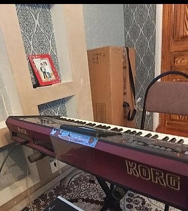 İdman və istirahət: Sintezator, Korg — 4