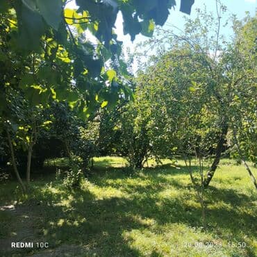 аренда и продажа недвижимости: 25 sot, Mülkiyyətçi, Kupça (Çıxarış) — 3