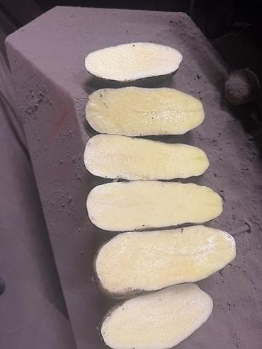 İnnovator fri kartofu, məhsul rusiyadadır bakı təhvil çatdırılır — 1