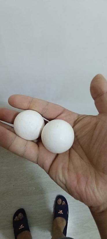 idman xalçası: Məhsul: Ağ plastik toplar (2 ədəd) Təsvir: - Rəng: ağ - Forma: tam — 2