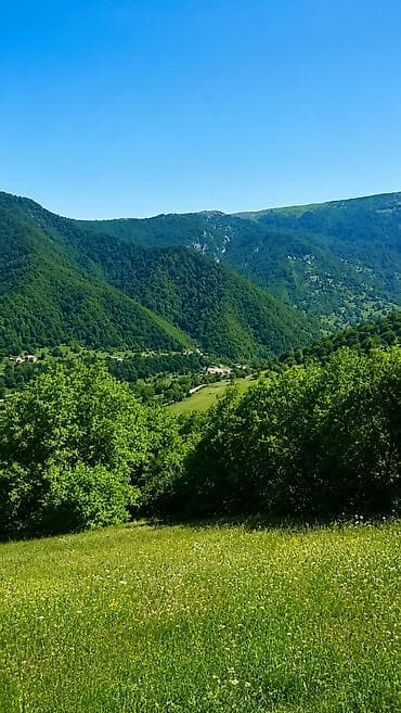 100 соток, Для бизнеса, Купчая — 5