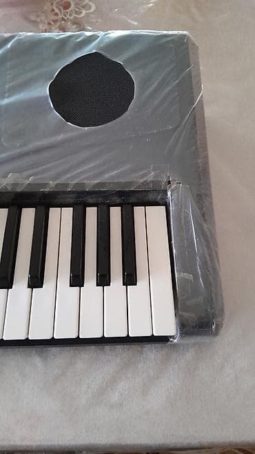 Спорт и отдых: Синтезатор, Korg — 4