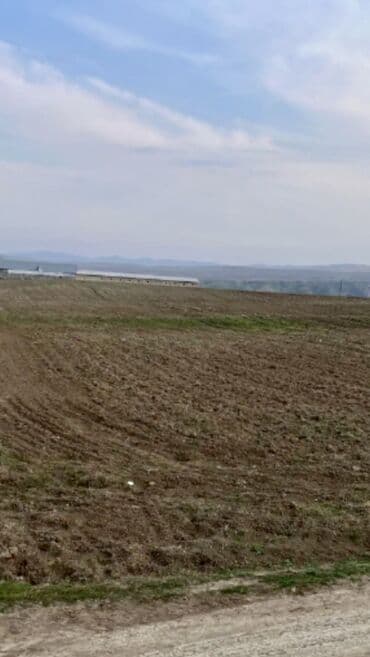 sekide satilan torpaqlar 2021: 305 sot, Kənd təsərrüfatı, Kupça (Çıxarış) — 4