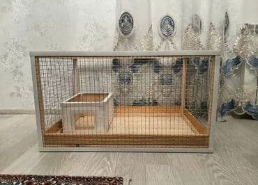 купить клетку для морской свинки: Dovşan,şinşila,bildirçin,cücə,xamyak,pişik,quş ve s kimi ev heyvanlari — 7