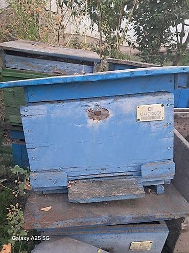 heyvan şəkilləri: QİYMƏT: Razılaşma yolu ilə Arıçılıq üçün taxta təhnələr və — 3