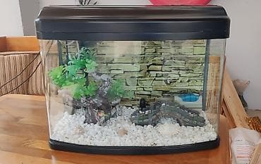 akva ayaqabılar: Ela veziyyetdedir. az iwlenib, icindeki ewyalarnan verilir — 2