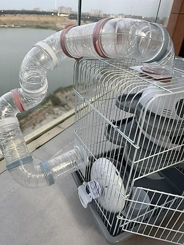 hamster satış: Hamster üçün çoxmərtəbəli qəfəs və aksesuar dəsti hamisi bir yerde — 4