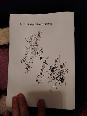 bakida it satislari: Qoyun qırxan zubr firması rus yenidən gəldi sadəcə 135 man çox istəyen — 10