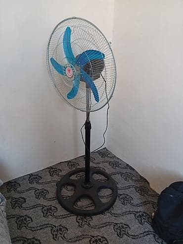 Ventilyator Yeni, Döşəməüstü, Pərli, Kredit yoxdur lalafo.az -da Ventilyator Yeni, Döşəməüstü, Pərli, Kredit yoxdur