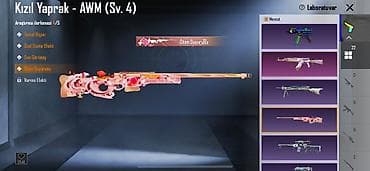 Другие комплектующие: PUBG Mobile hesabı – zəngin kolleksiya və inkişaf etdirilmiş — 5