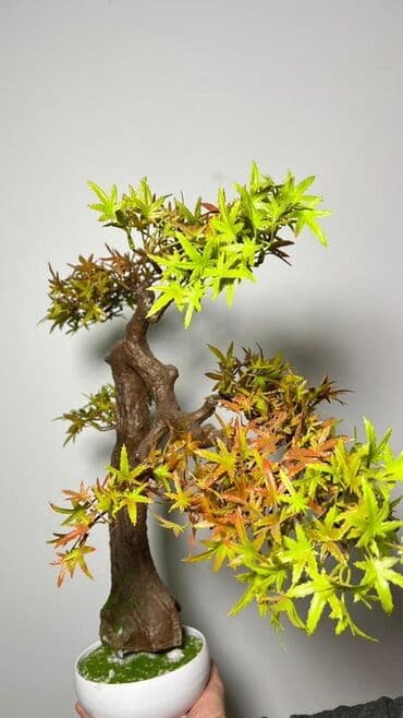 budda: Süni bonsai ağacı – dekorativ içməkan yaşıllaşdırma üçün - Realistik — 25