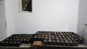 soba silver: Çörək, 3 mərtəbəli — 5