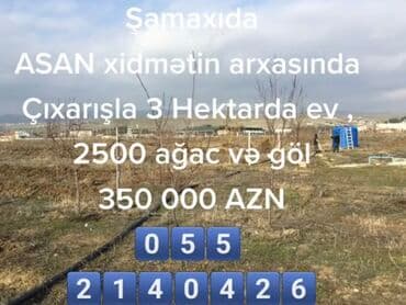 sulutəpə çiçək qəsəbəsi: Biznes üçün, Mülkiyyətçi, Kupça (Çıxarış) — 5