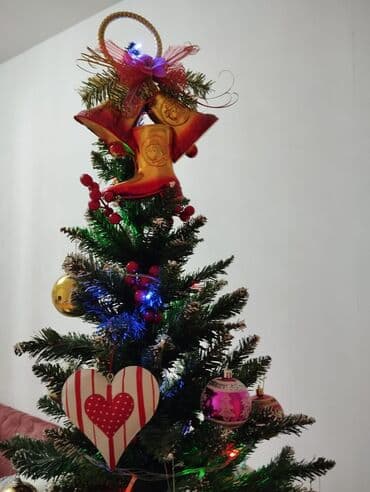 divar boyalari kataloqu: Yolka, təzə, hündürlük 130 sm. Sumqayit — 2