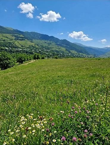 20 sot, Tikinti, Mülkiyyətçi, Kupça (Çıxarış)