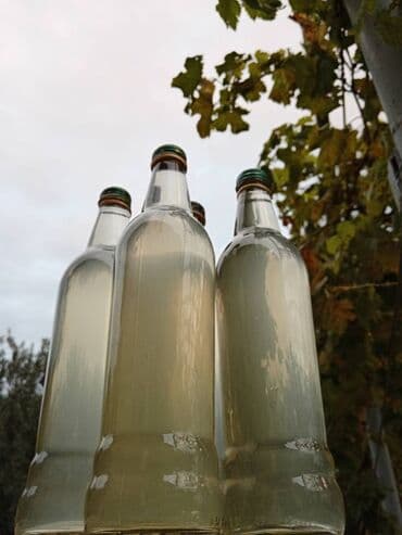 Alma Sirkəsi Qusardan meşə almalarından hazırlanıb. 0,5L - 5 azn