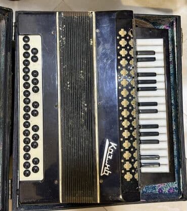 Pianolar: Akustik Akkordeon — 1