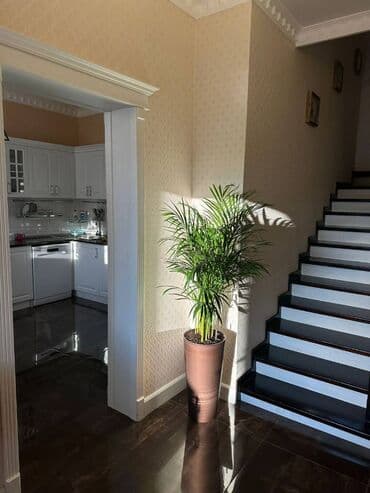 недвижимость в азербайджане купить: Баку, Мярдяканы, 200 м², 5 комнат, С бассейном, Артезианский колодец, Канализация, Комби — 17