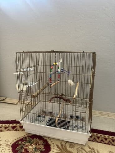 Nissan: Quş qəfəsi dəsti - Material: metal barmaqlıqlar, möhkəm plastik — 3