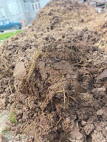 Təbii üzvi gübrə – mal peyini Məhsul təsviri: - Heyvandarlıq — 6