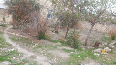 mx group inşaat: 2 sot, Tikinti, Mülkiyyətçi, Kupça (Çıxarış) — 4