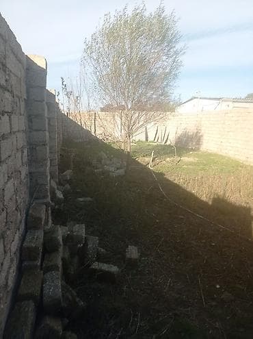 razin heyet evi: Tikinti — 2