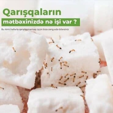 xalca yuma 1 50 azn 2023: Dezinfeksiya, dezinseksiya | Nəqliyyat — 11