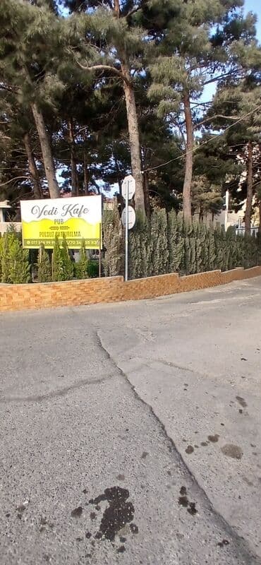 Xirdalanda suret qatarina,avtobus dayanacagina yaxin at heykeli lalafo.az -da Xirdalanda suret qatarina,avtobus dayanacagina yaxin at heykeli