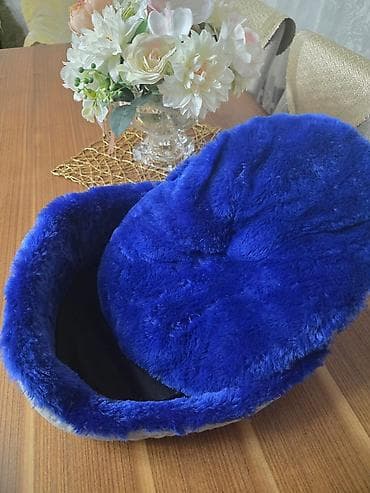 it boyunbağı: Mavi rəngli yumşaq ev heyvanı yatağı - Növ: Pişik və kiçik itlər üçün — 2
