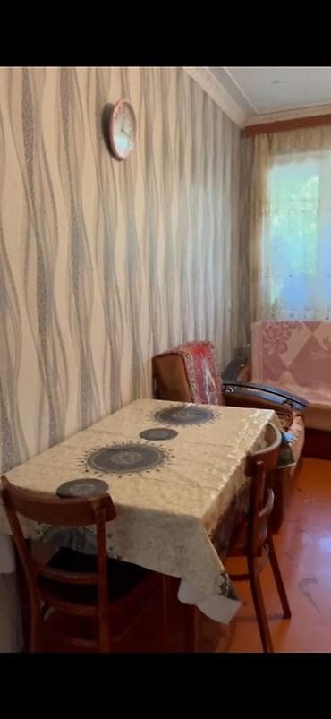 ucuz heyvanlar: 4 cü mikrarayon Zərifə göz klinikasının yaxınlığında Alvadi marketin — 6