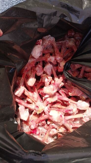 Şampunlar: It yemi. Toyuqun Qabirga ve Bud sumuyu, Toyuq farji. Toyuq qanad — 2