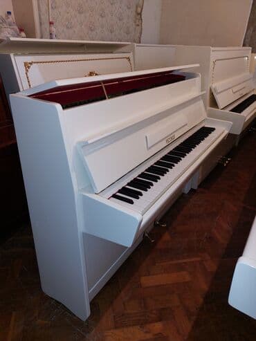 piano dersleri baki: Pianino PETROF Cexiya stehsalı. İdeal vəziyyədə. Cadrılma və köklənmə — 2