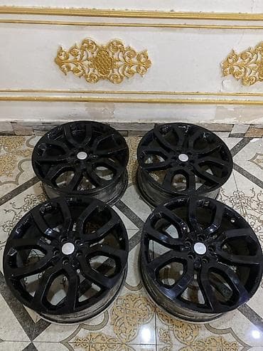 Disk Land Rover R 22