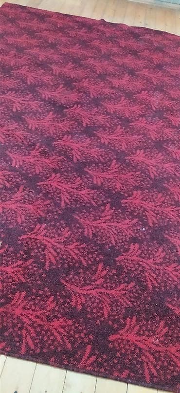 Güzgülər: Xalça Dekorativ, Kredit yoxdur — 2