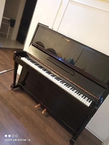 Piano, Belarus, Akustik