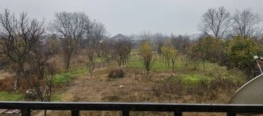 купить новостройку в баку: 30 соток, Для сельского хозяйства, Собственник, Купчая — 2