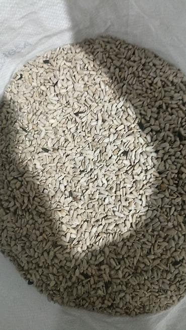 Yag siximi üçün bütöv günəbaxan ləpələri 2.40 manat